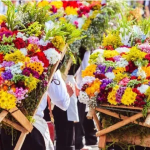 the flower festival tour medellín